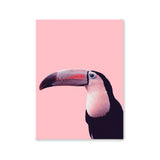 Póster pelícano rosa