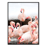 Póster cuadro flamencos